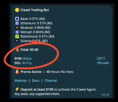 Clawd Agents โ wallet dashboard showing deposit addresses