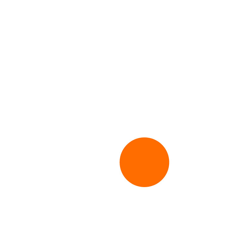 Birdeye